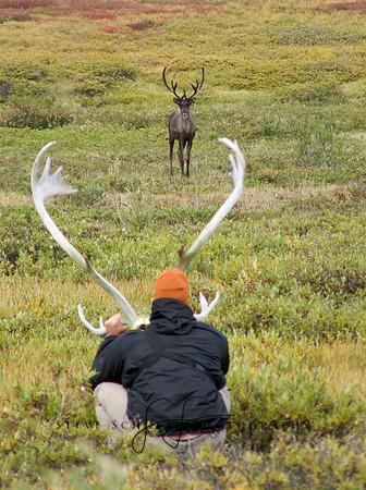 Face Off